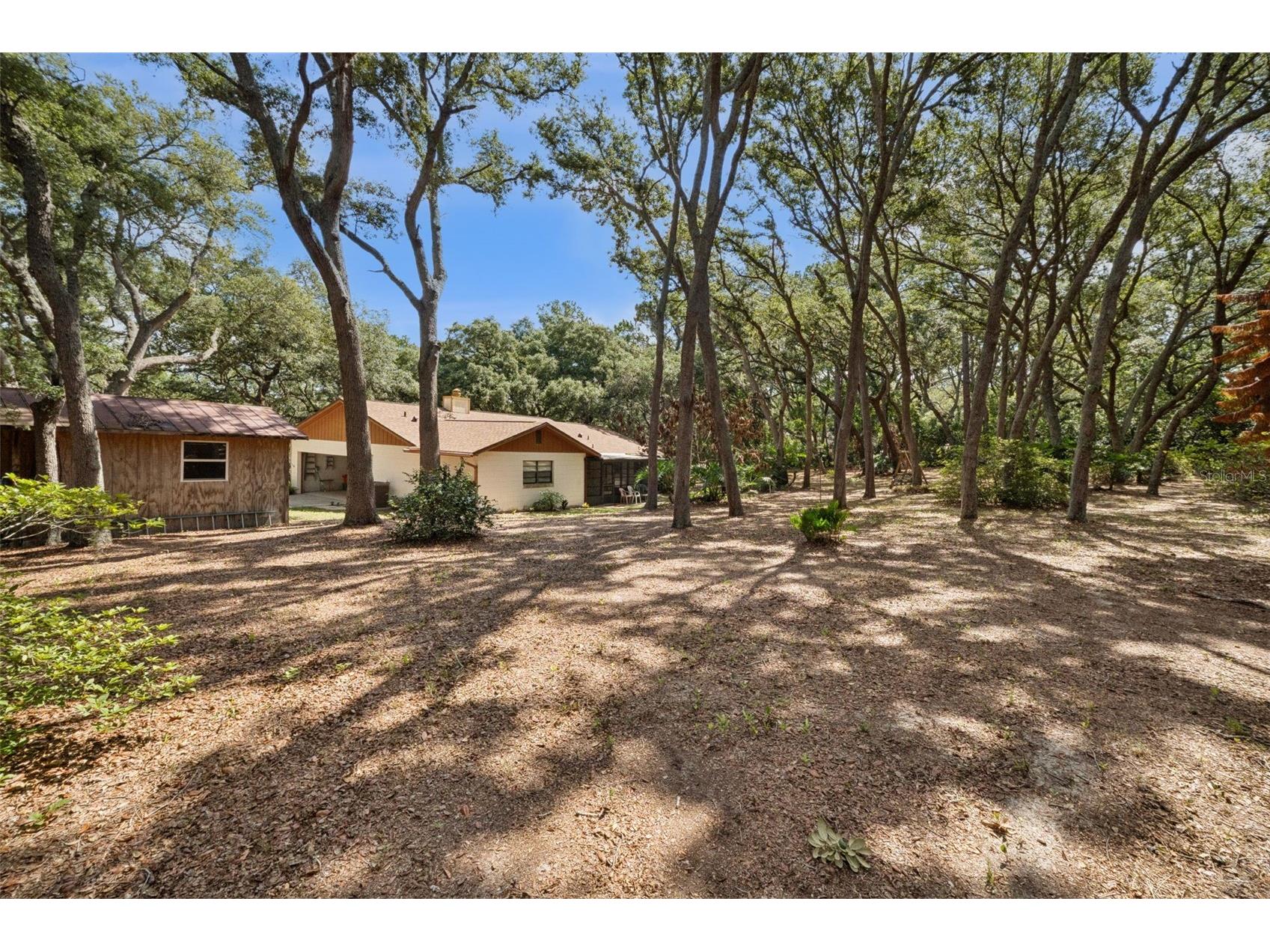 17056 Red Bird Road Winter Garden FL 34787 G5113999 image20