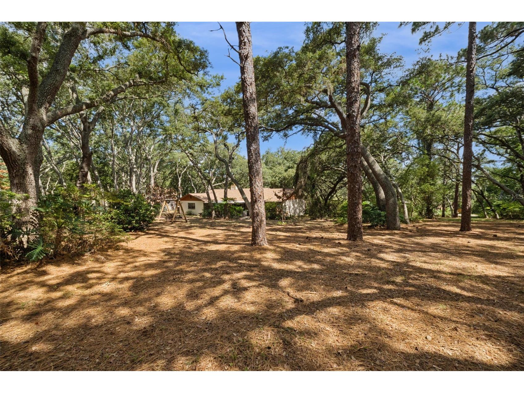 17056 Red Bird Road Winter Garden FL 34787 G5113999 image21