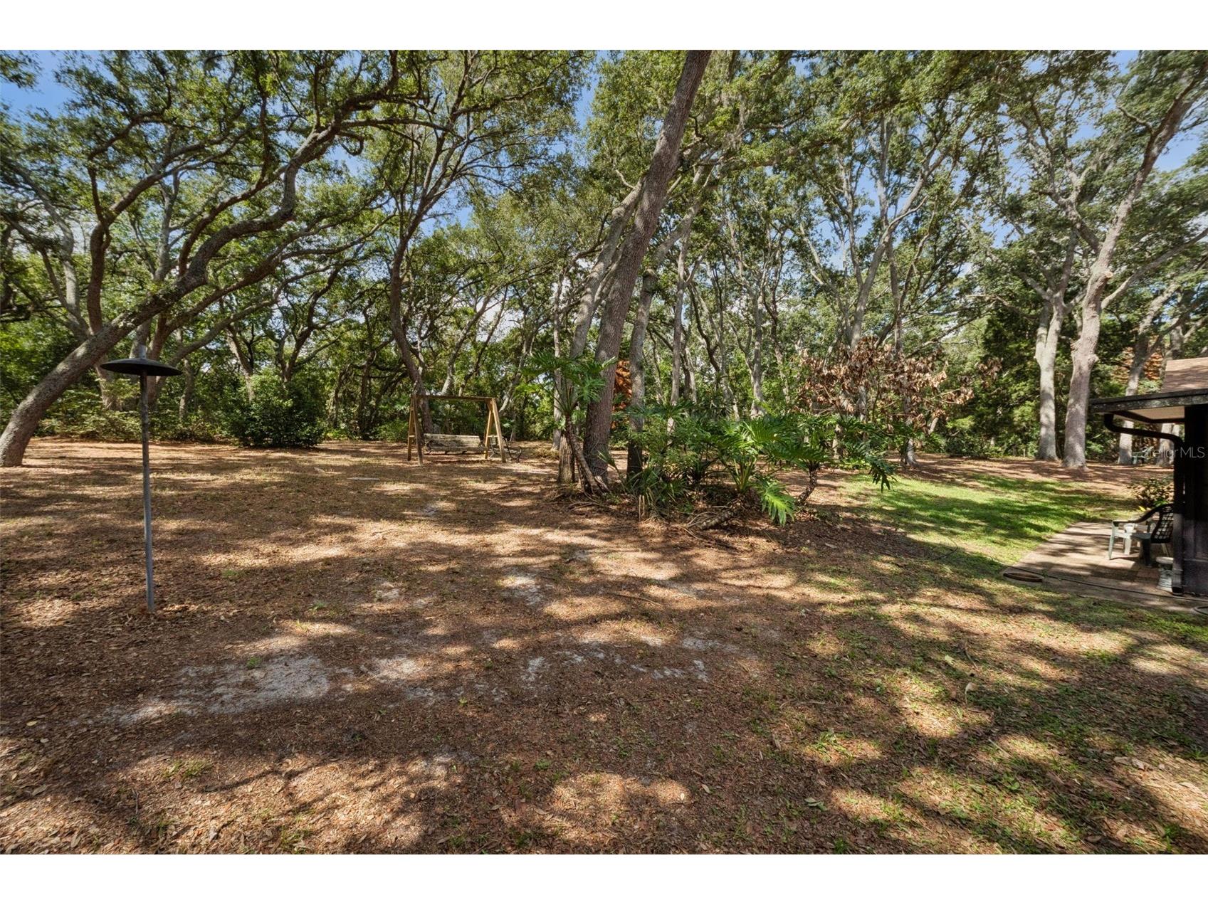 17056 Red Bird Road Winter Garden FL 34787 G5113999 image22