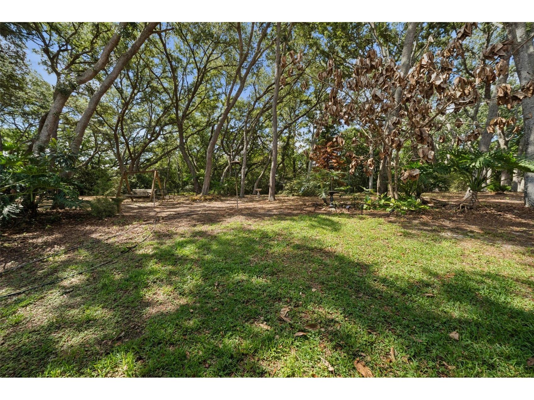 17056 Red Bird Road Winter Garden FL 34787 G5113999 image23