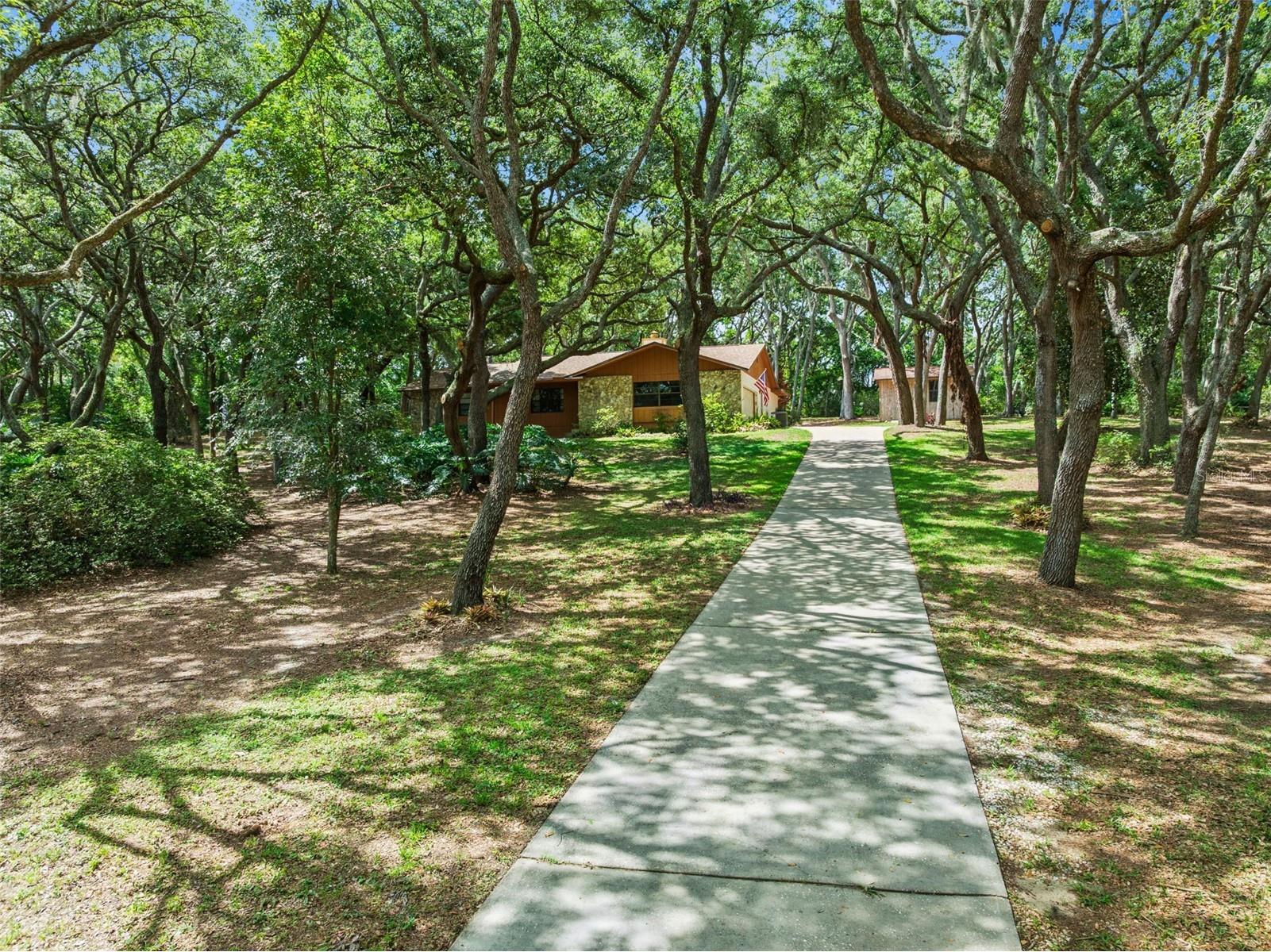 17056 Red Bird Road Winter Garden FL 34787 G5113999 image26