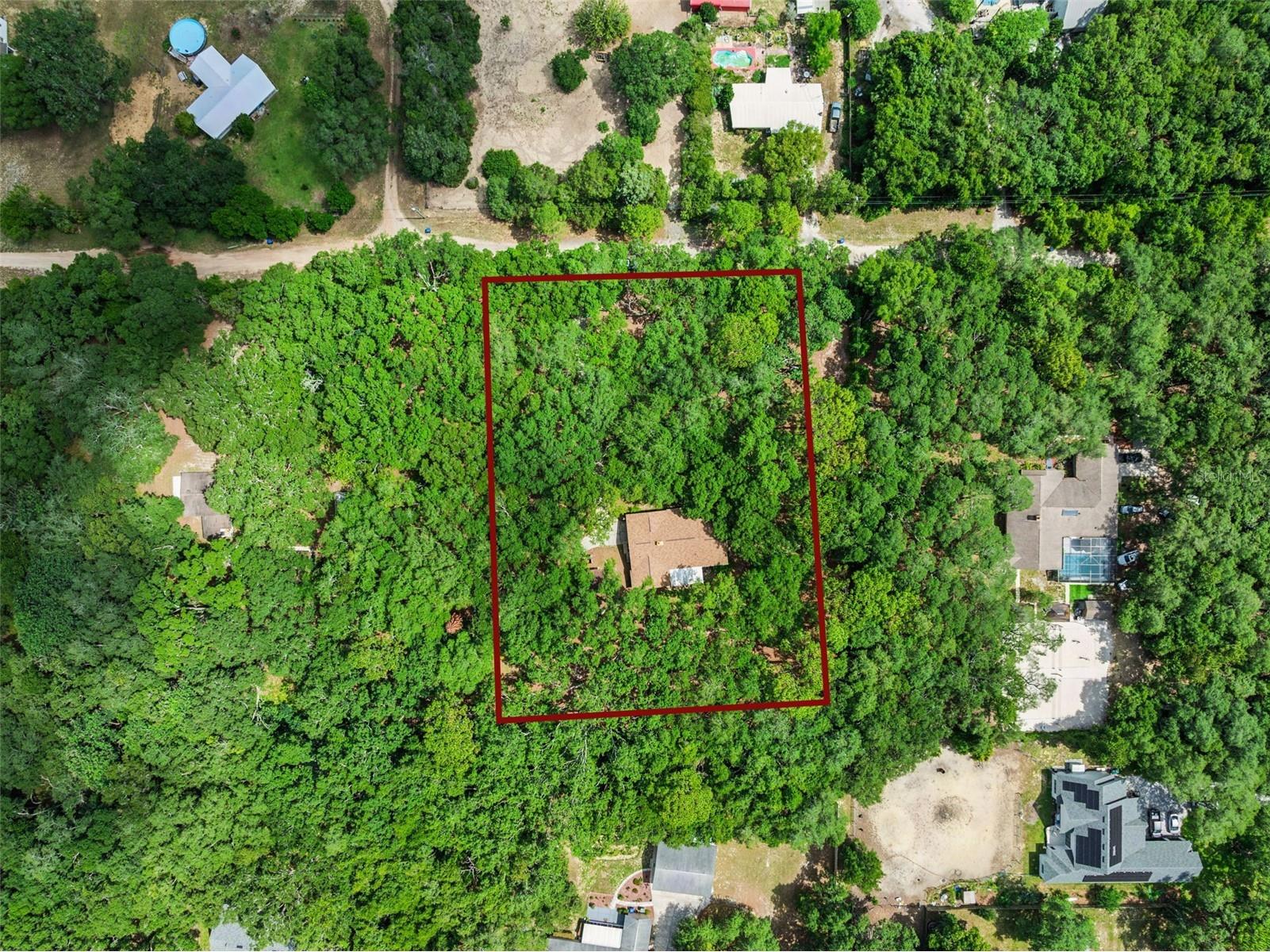 17056 Red Bird Road Winter Garden FL 34787 G5113999 image28