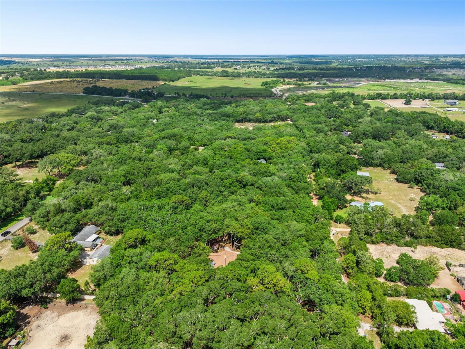 17056 Red Bird Road Winter Garden FL 34787 G5113999 image31