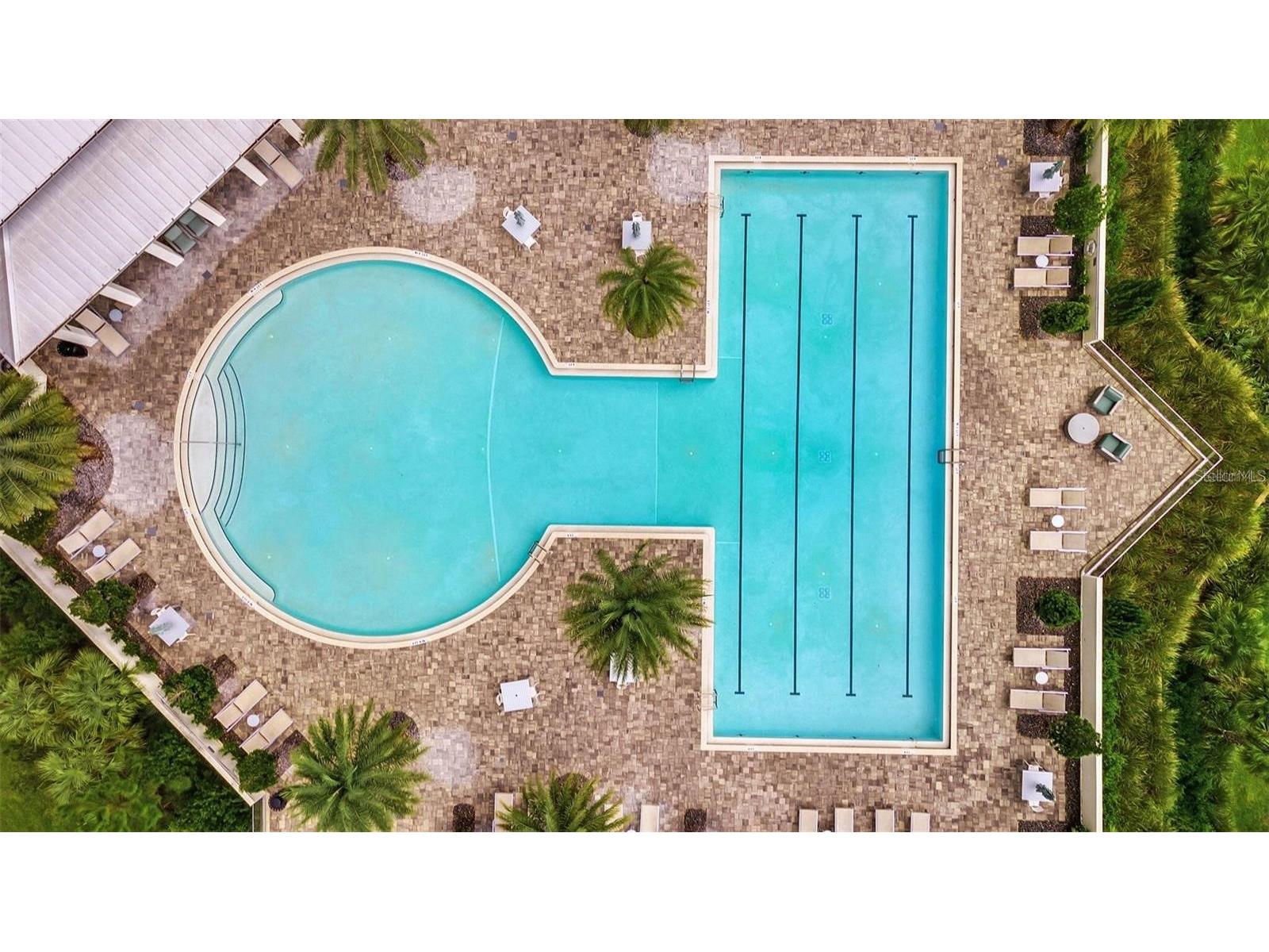 17059 Harbor Oak Parkway Winter Garden FL 34787 G5114379 image59