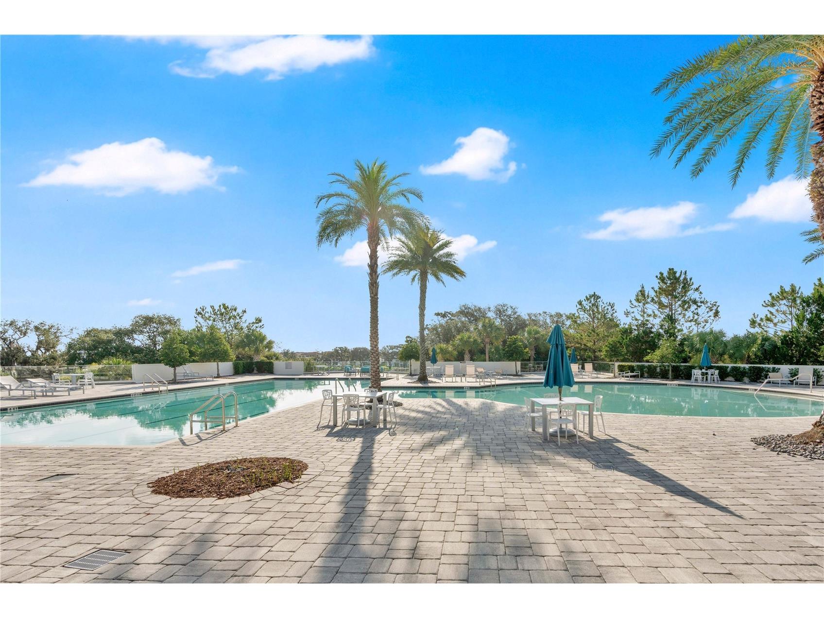 17059 Harbor Oak Parkway Winter Garden FL 34787 G5114379 image62
