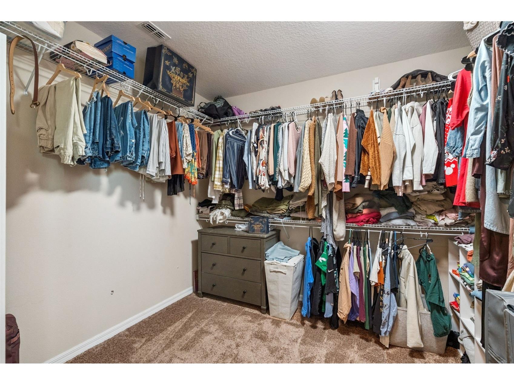 17059 Harbor Oak Parkway Winter Garden FL 34787 O6379959 image42