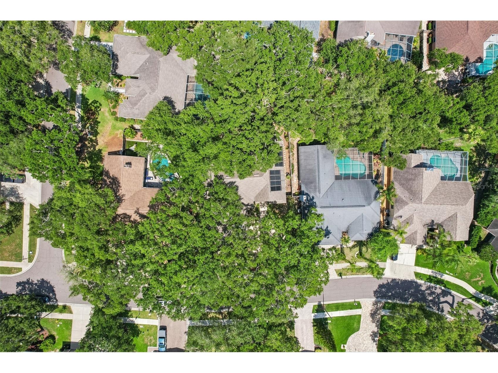 1706 Country Trails Drive Safety Harbor FL 34695 TB8511579 image45