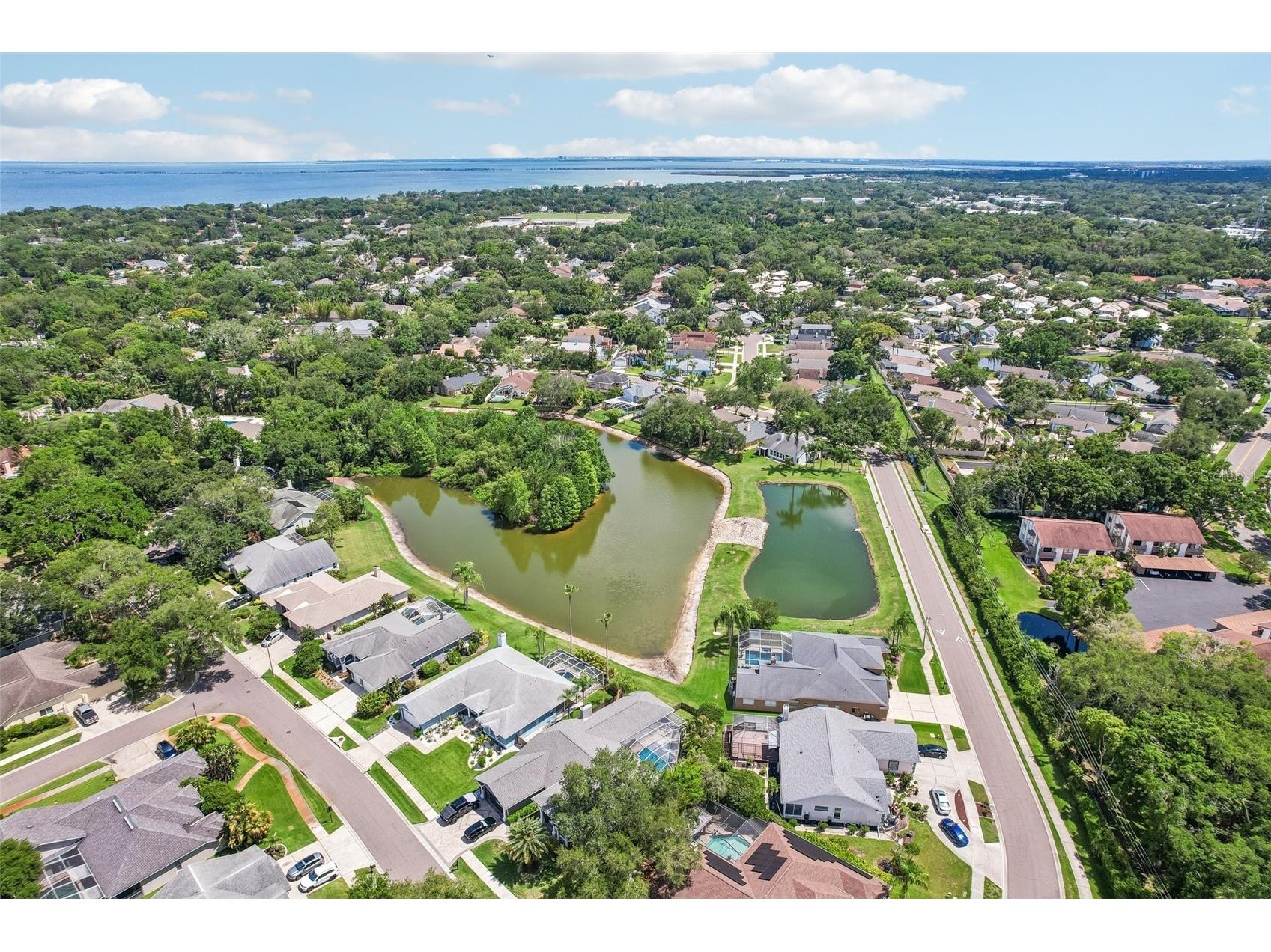 1706 Country Trails Drive Safety Harbor FL 34695 TB8511579 image46