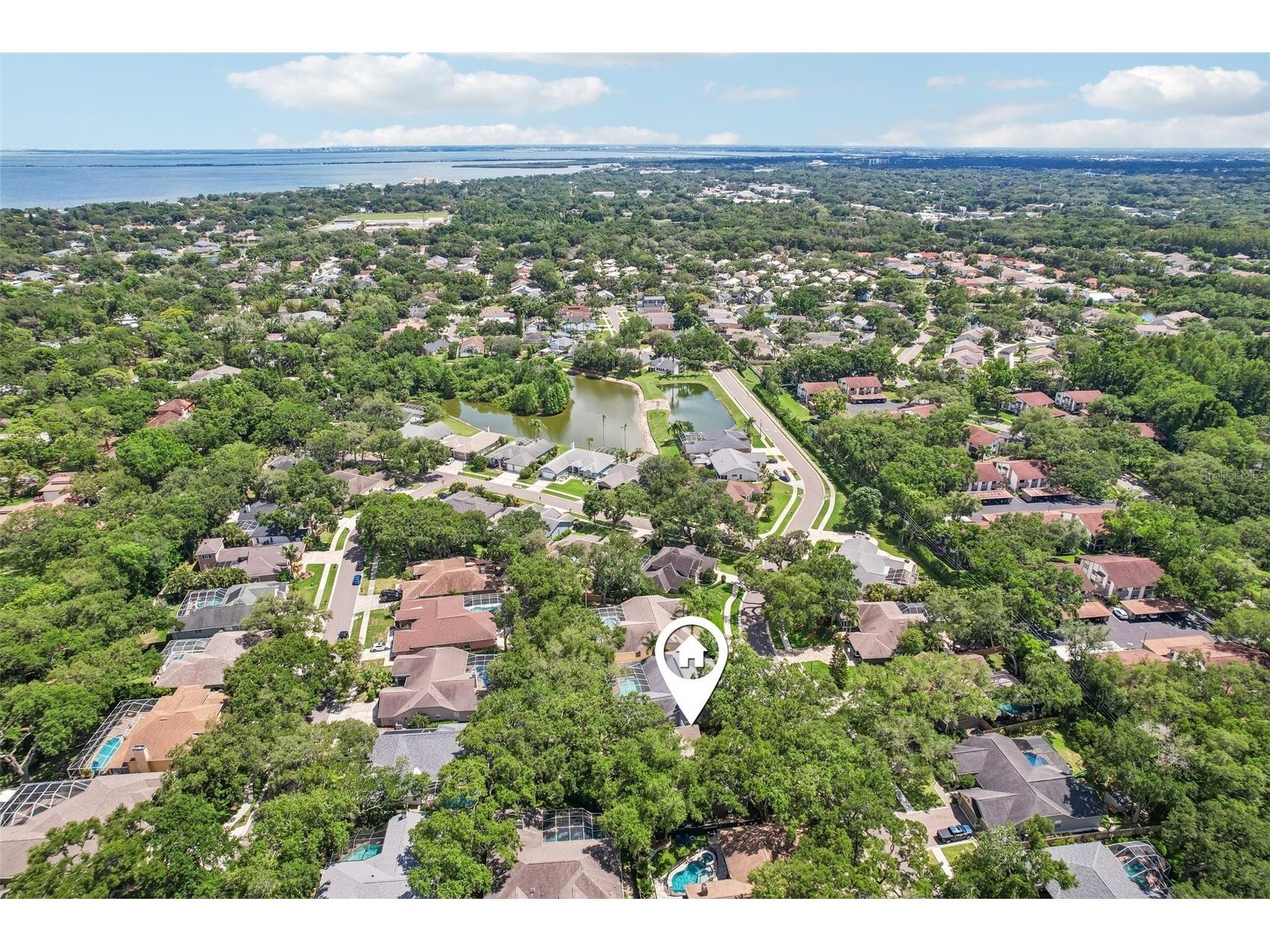 1706 Country Trails Drive Safety Harbor FL 34695 TB8511579 image47
