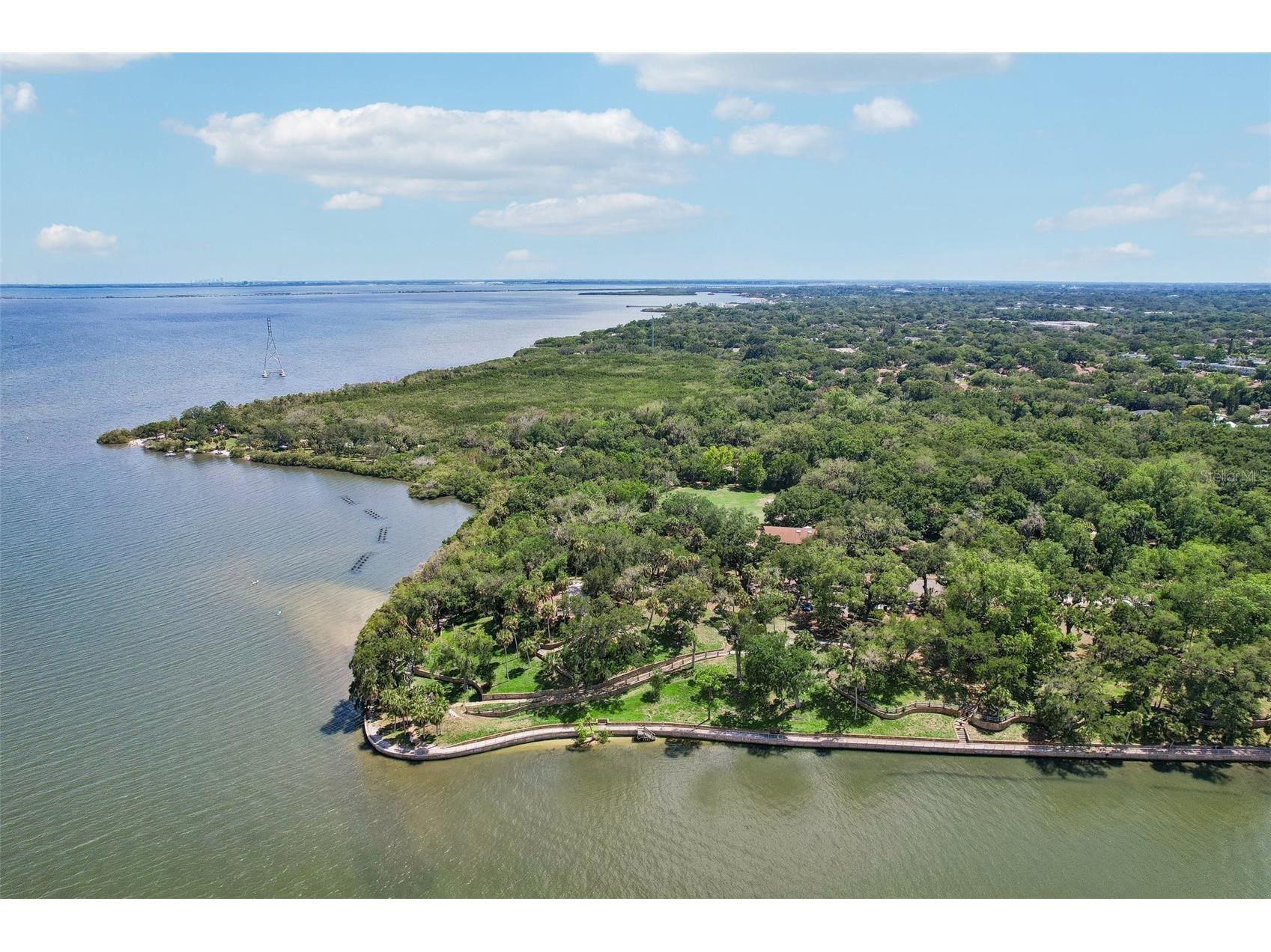 1706 Country Trails Drive Safety Harbor FL 34695 TB8511579 image50