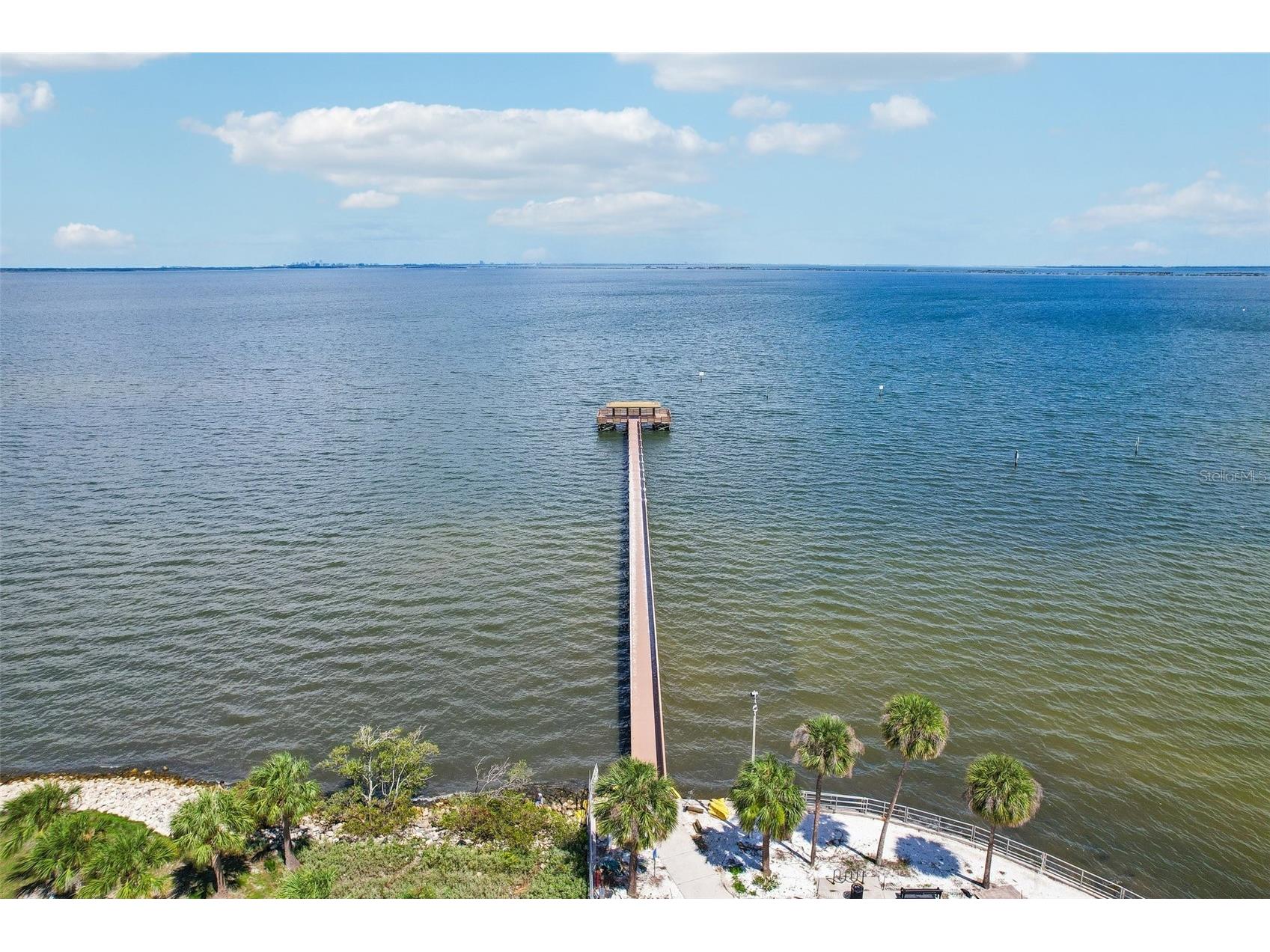 1706 Country Trails Drive Safety Harbor FL 34695 TB8511579 image51