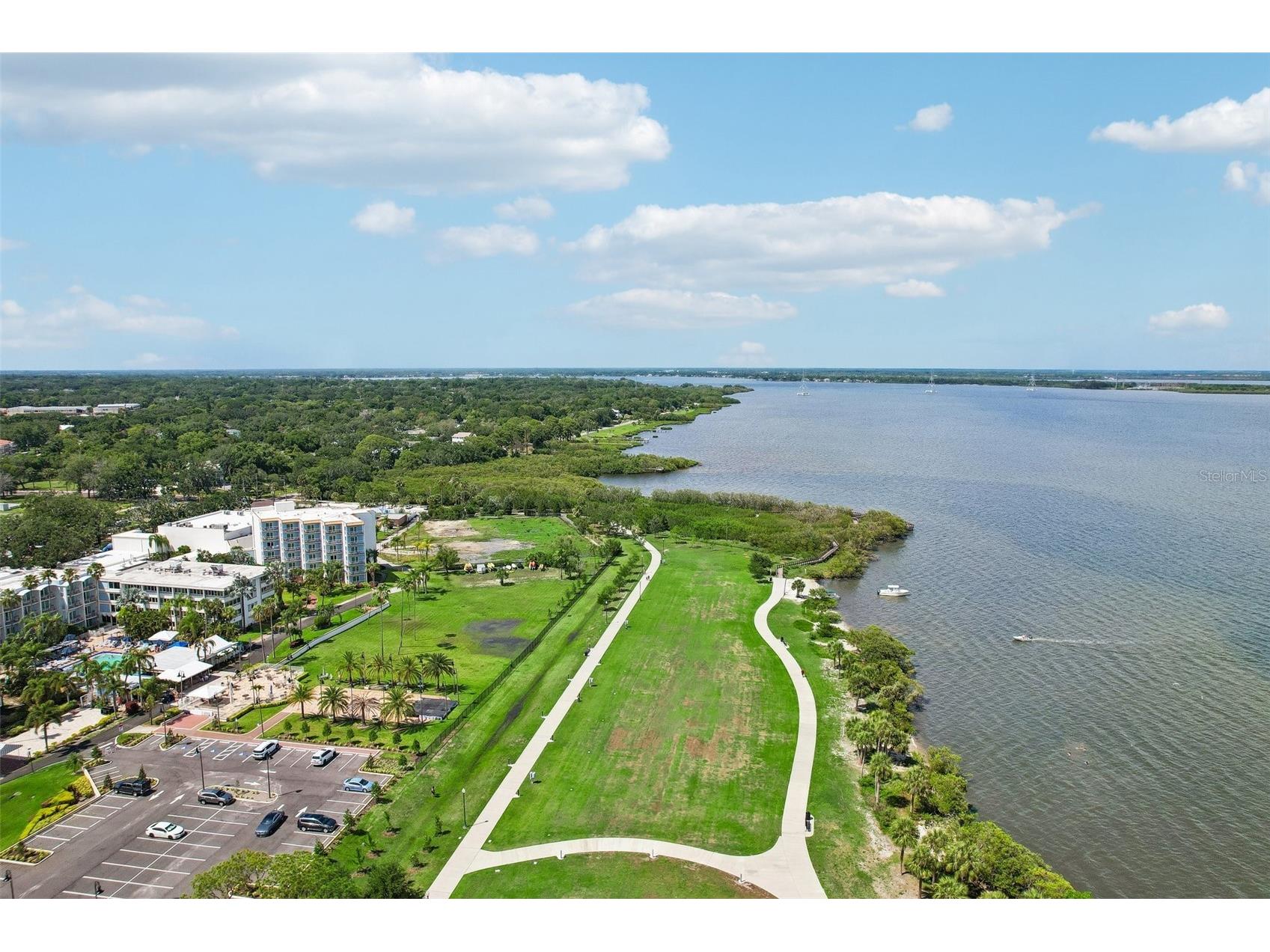 1706 Country Trails Drive Safety Harbor FL 34695 TB8511579 image52