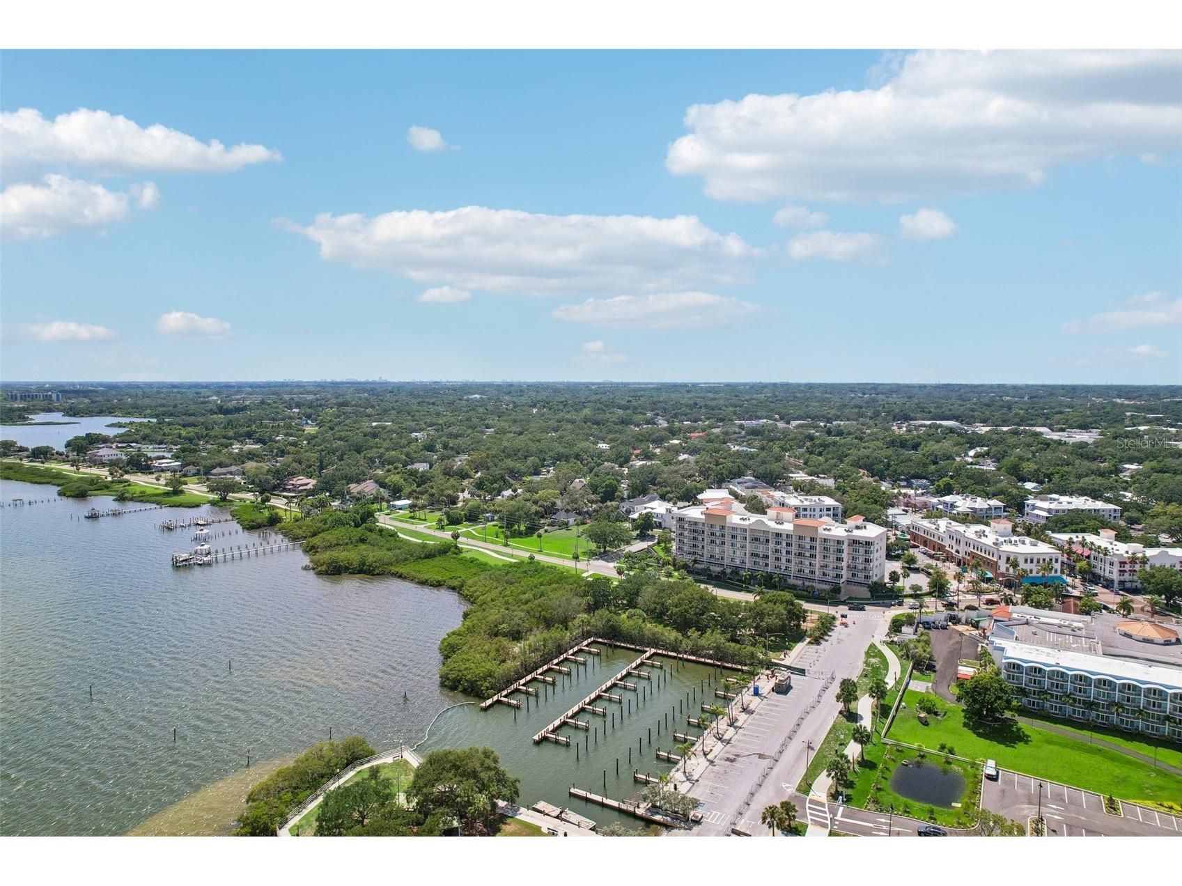 1706 Country Trails Drive Safety Harbor FL 34695 TB8511579 image53