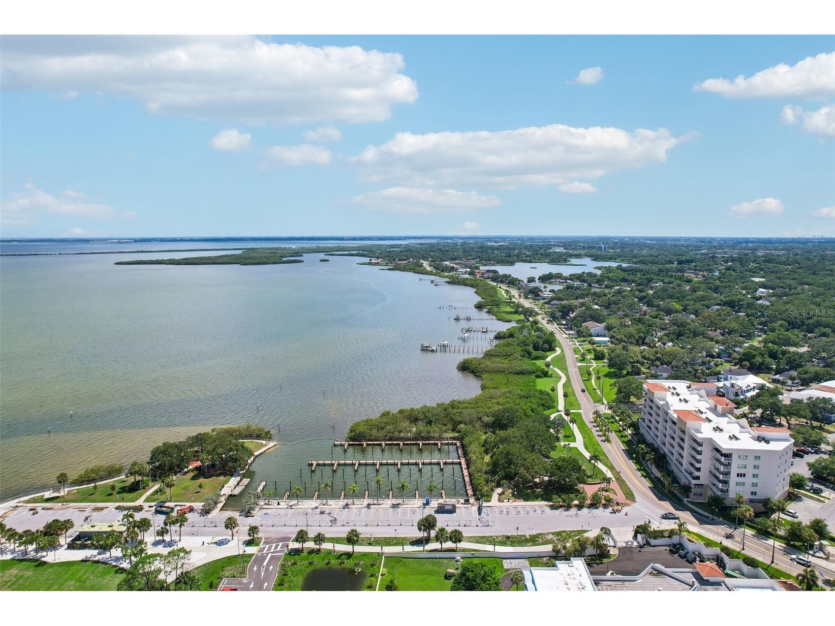 1706 Country Trails Drive Safety Harbor FL 34695 TB8511579 image54