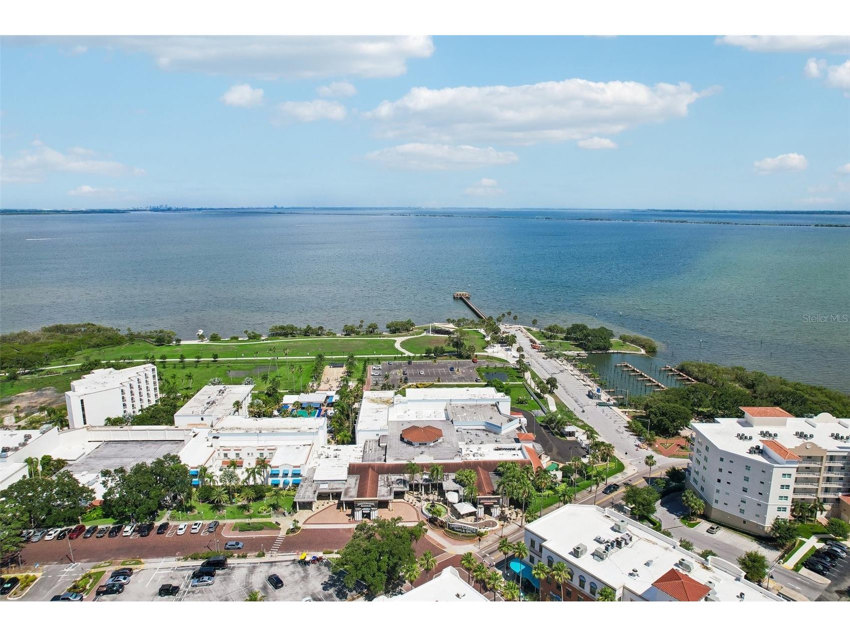 1706 Country Trails Drive Safety Harbor FL 34695 TB8511579 image55