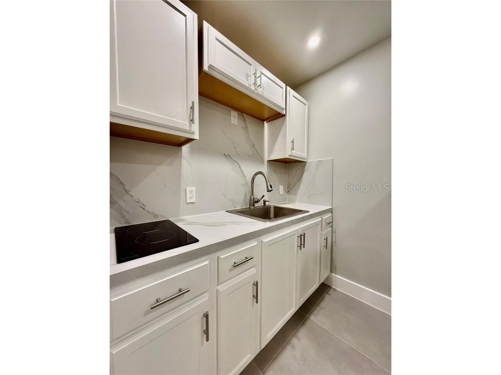 1706 E Annie Street #A Tampa FL 33612 TB8417320 image10