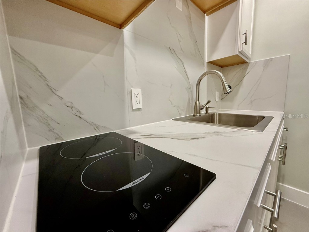 1706 E Annie Street #A Tampa FL 33612 TB8417320 image9