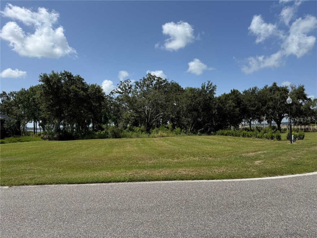 1706 Live Oak Drive Deer Island FL 32778 TB8411258 image1