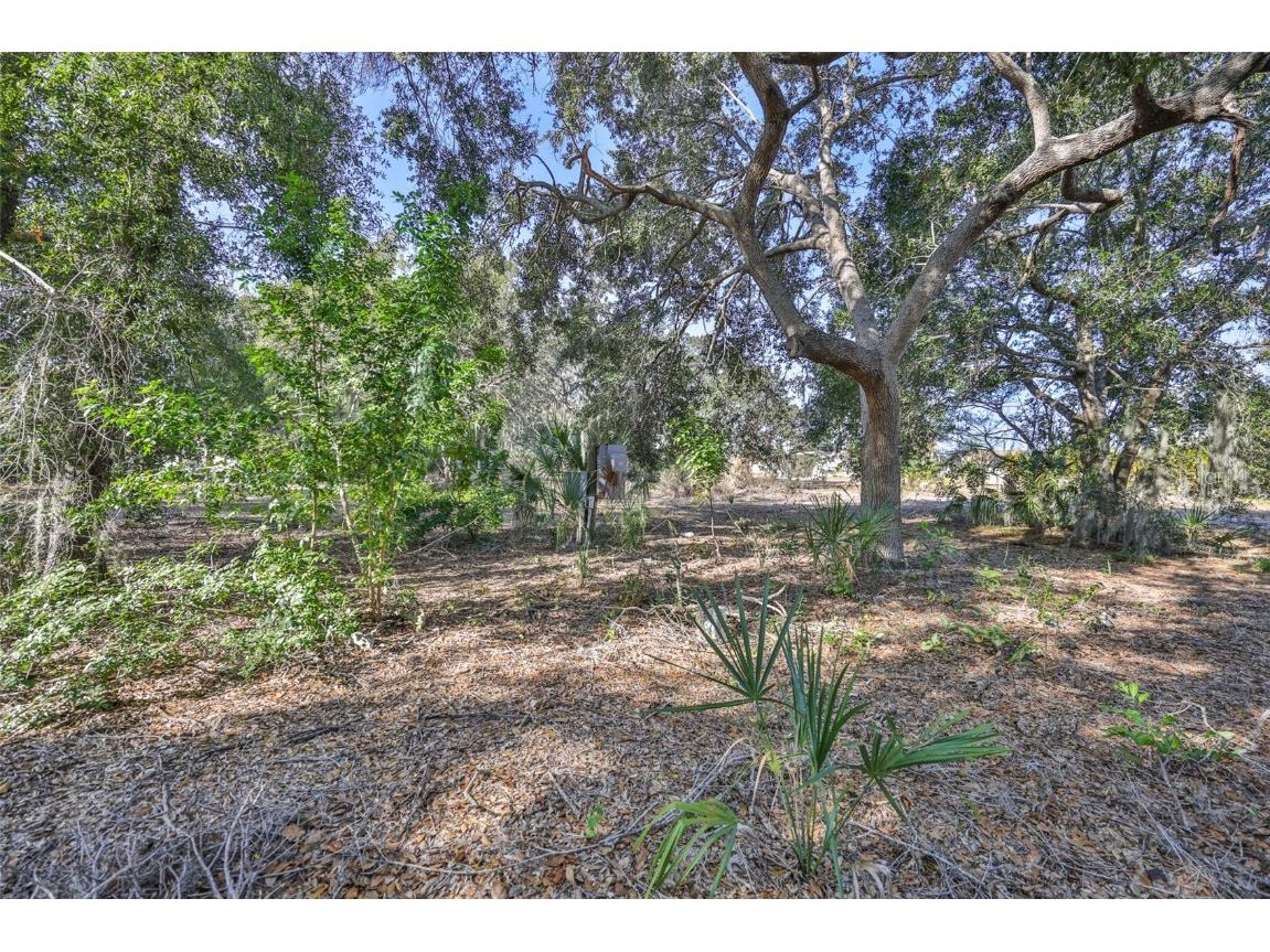 1706 Saffold Park Drive Ruskin FL 33570 - LITTLE MANATEE RIVER TB8454226 image76