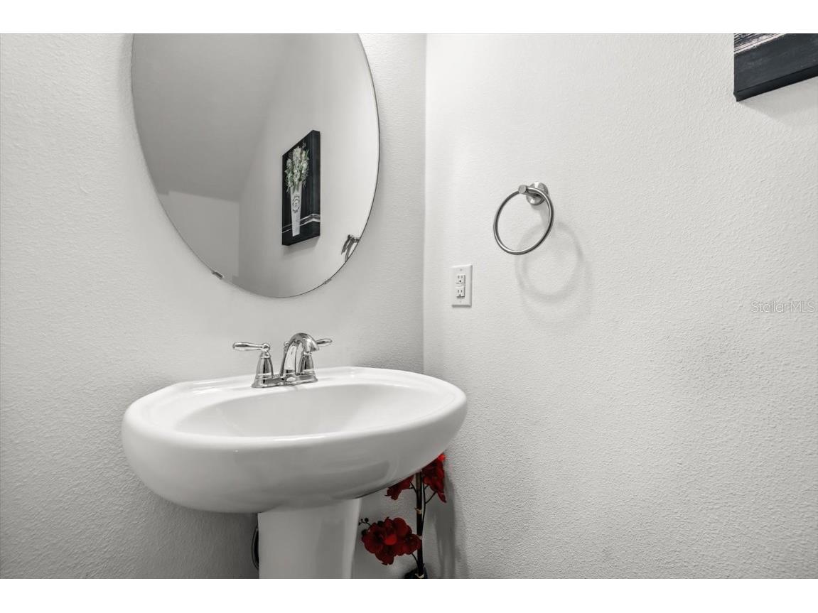 17061 Seville Orange Road Winter Garden FL 34787 O6365669 image15