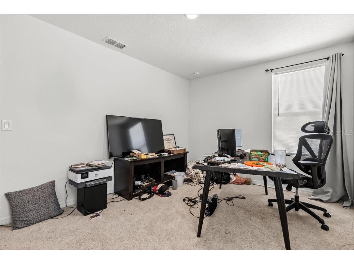 17061 Seville Orange Road Winter Garden FL 34787 O6365669 image33