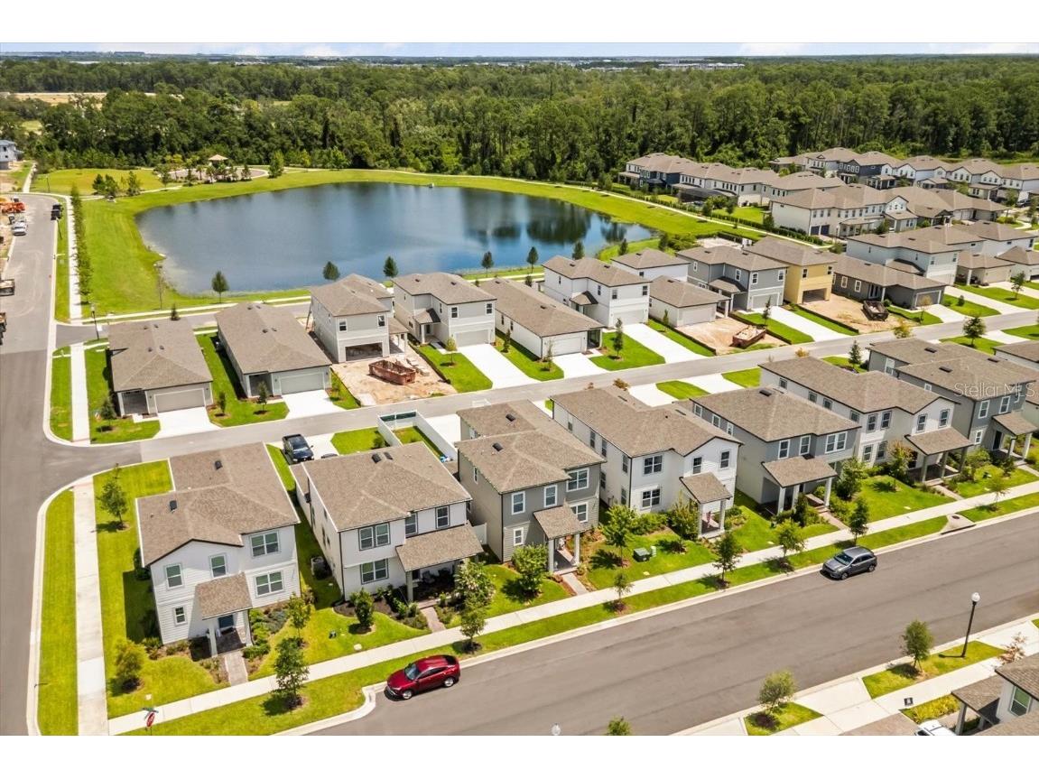 17061 Seville Orange Road Winter Garden FL 34787 O6365669 image36