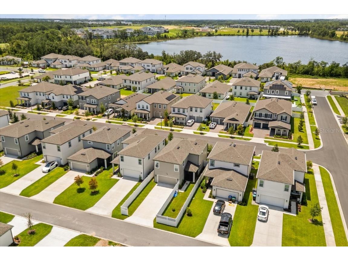 17061 Seville Orange Road Winter Garden FL 34787 O6365669 image39