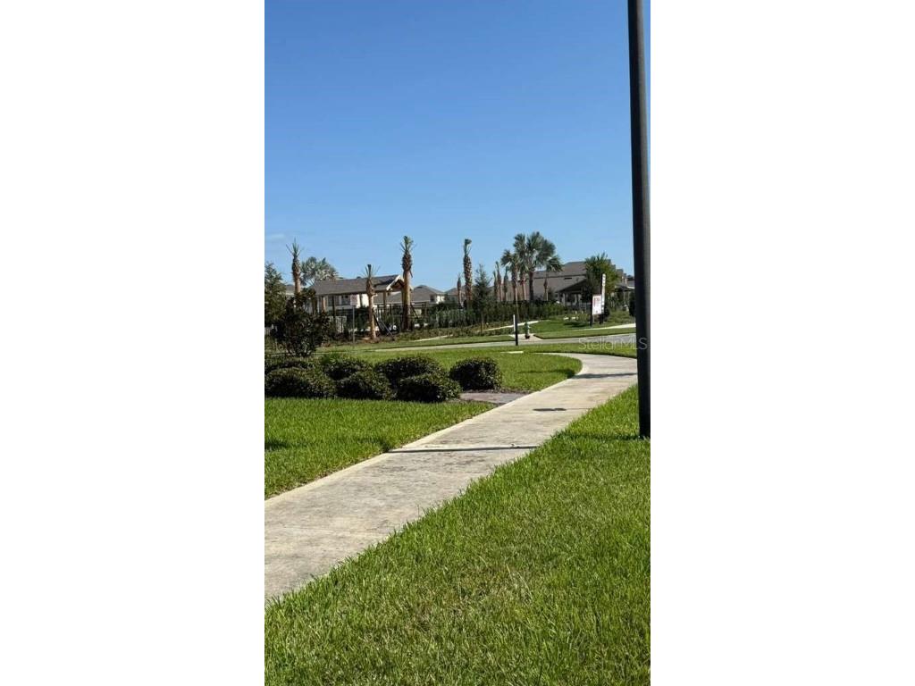 17061 Water Spring Boulevard Winter Garden FL 34787 O6304776 image2