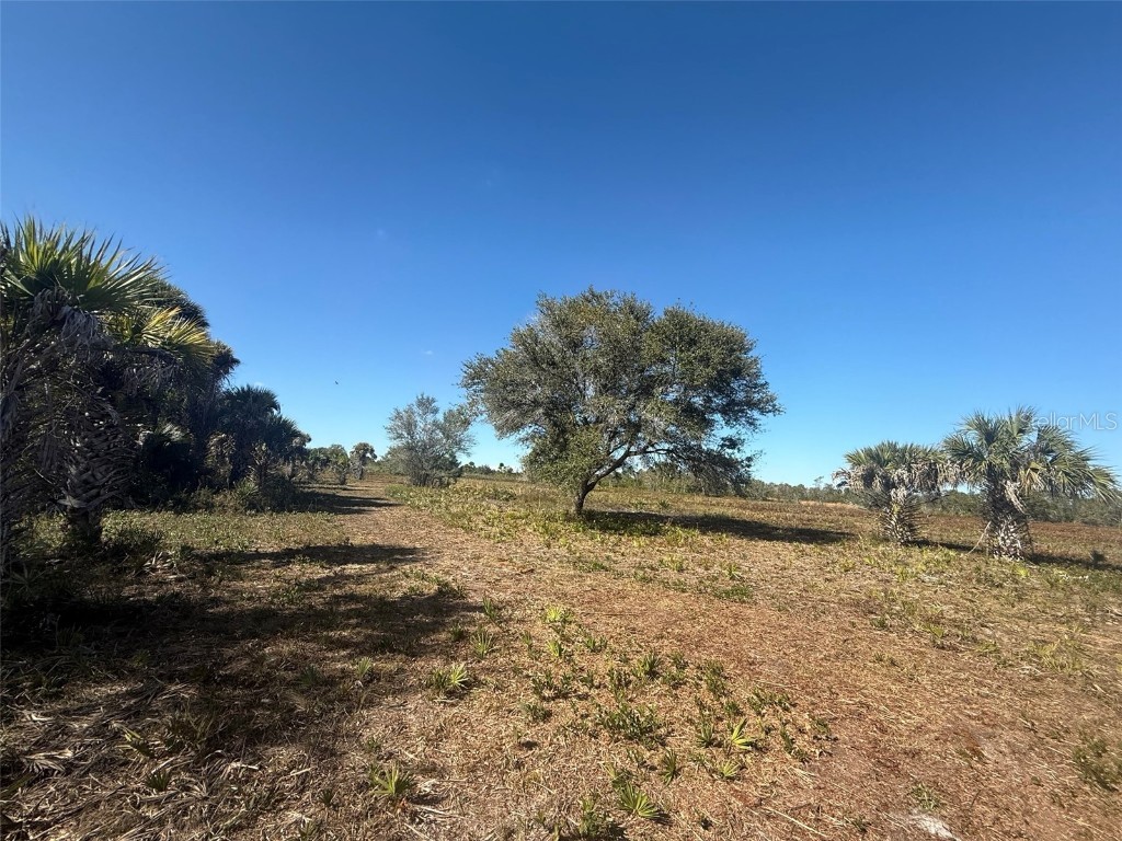 17065 NW 306th Street Okeechobee FL 34972 OK225798 image12