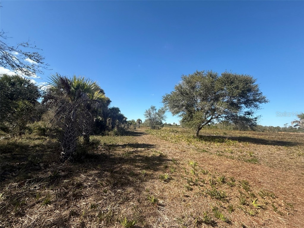 17065 NW 306th Street Okeechobee FL 34972 OK225798 image13