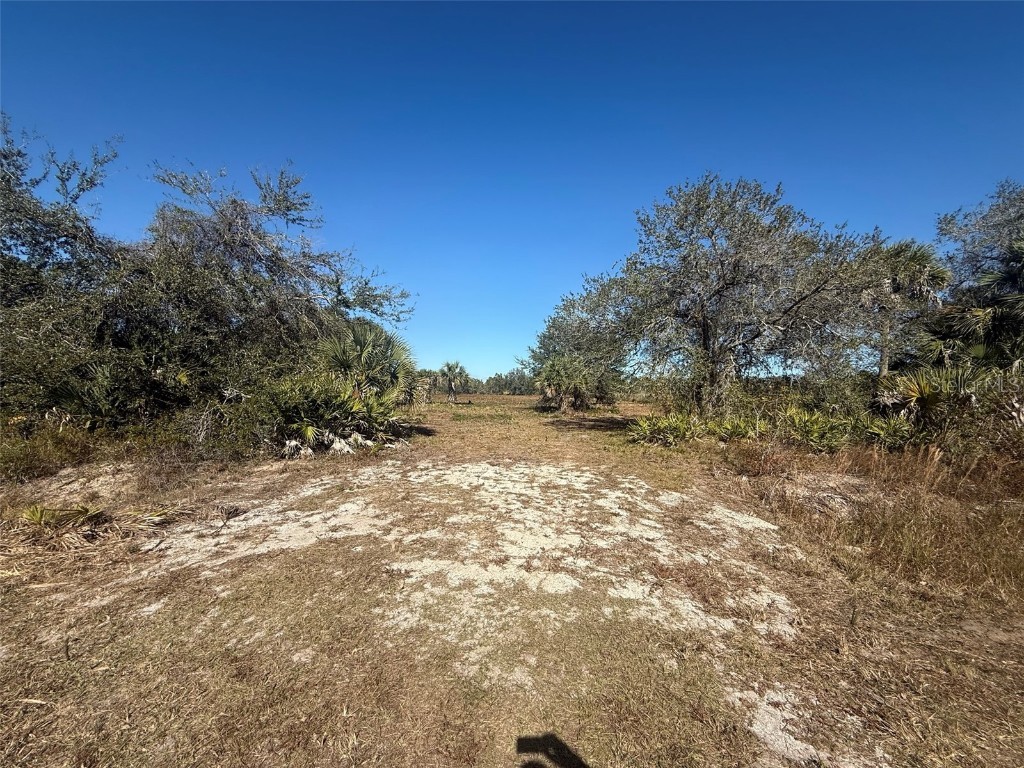 17065 NW 306th Street Okeechobee FL 34972 OK225798 image16