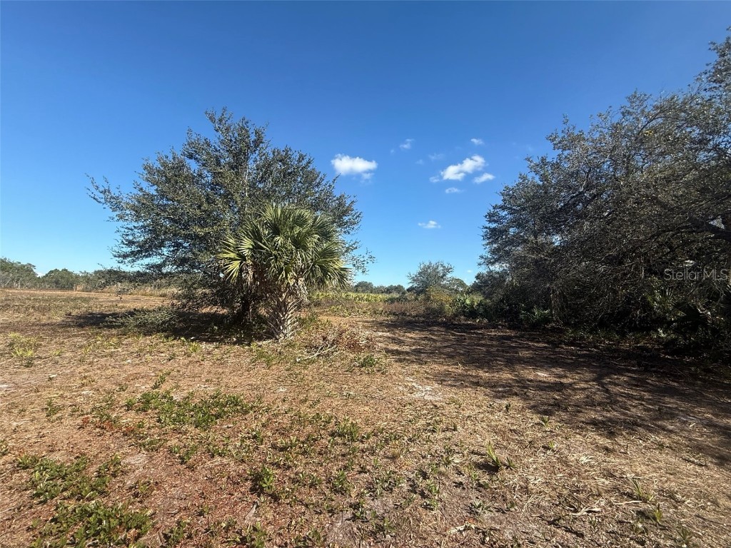 17065 NW 306th Street Okeechobee FL 34972 OK225798 image2