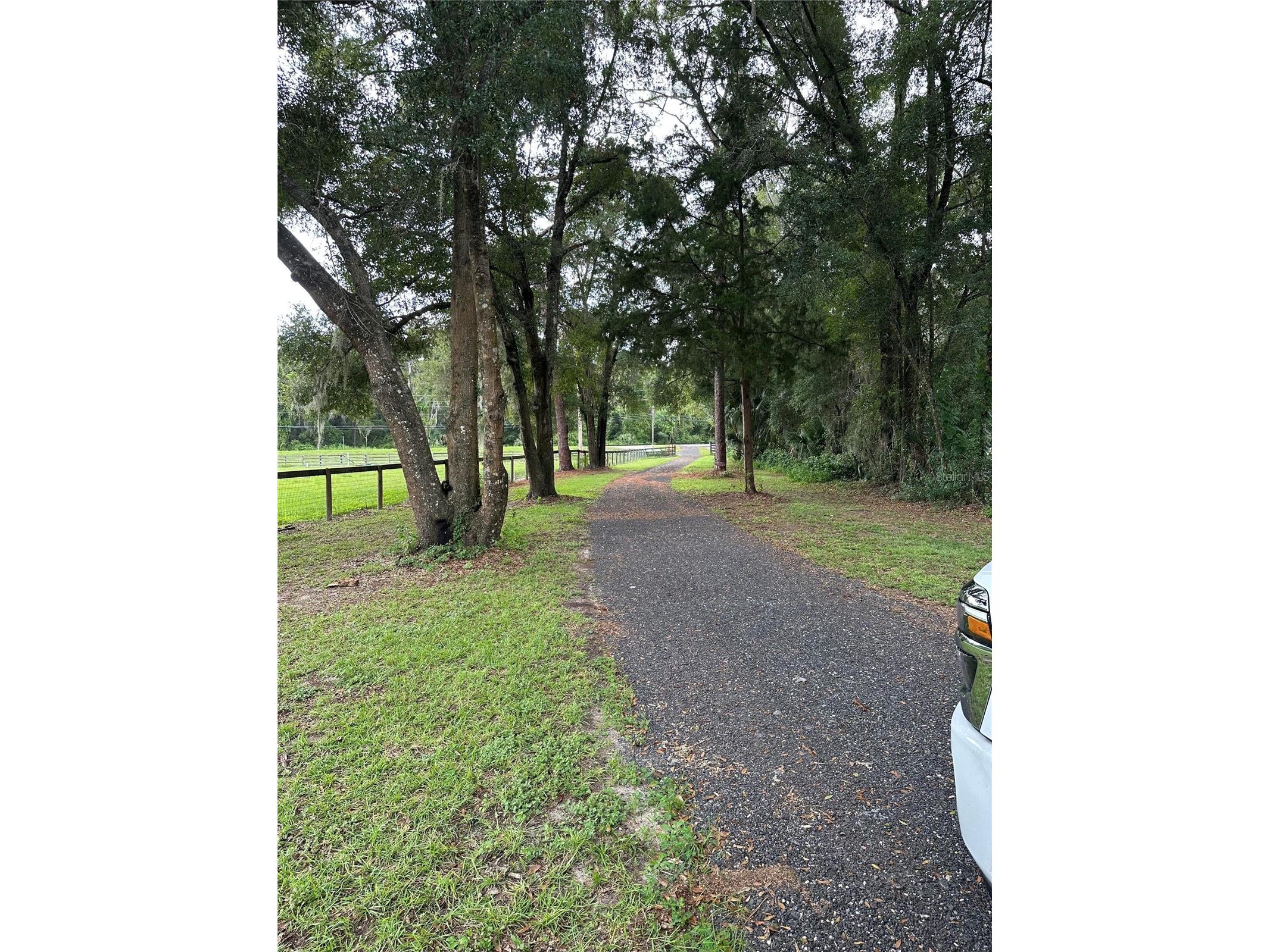 17067 NW Gainesville Road Reddick FL 32686 O6361760 image19