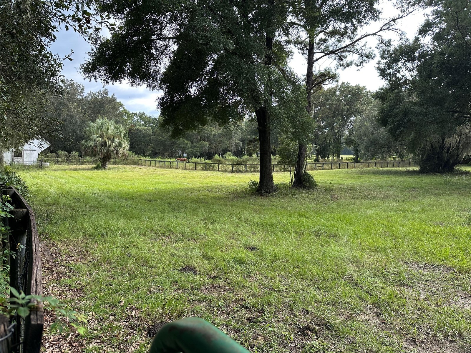17067 NW Gainesville Road Reddick FL 32686 O6361760 image20
