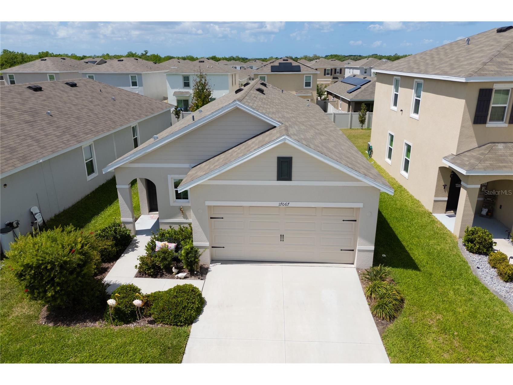 17067 Oval Rum Drive Wimauma FL 33598 A4688129 image16