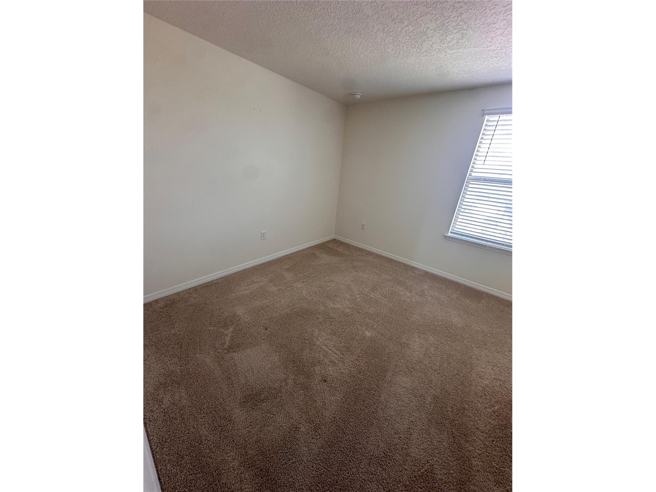 17069 Water Spring Boulevard Winter Garden FL 34787 O6389218 image16