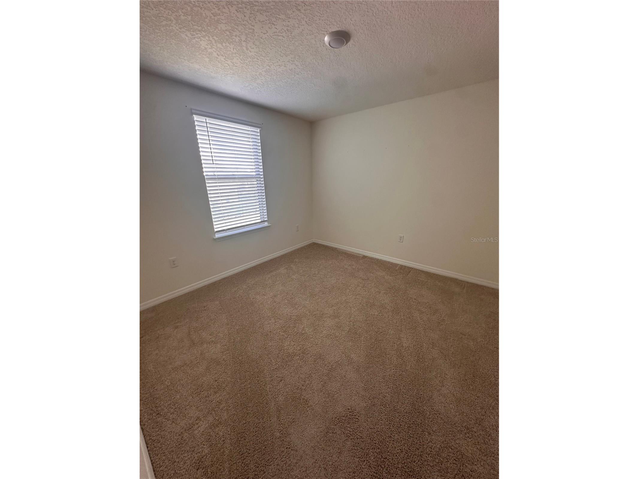 17069 Water Spring Boulevard Winter Garden FL 34787 O6389218 image20