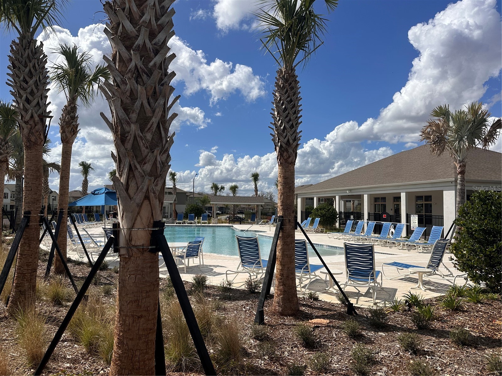 17069 Water Spring Boulevard Winter Garden FL 34787 O6389218 image7