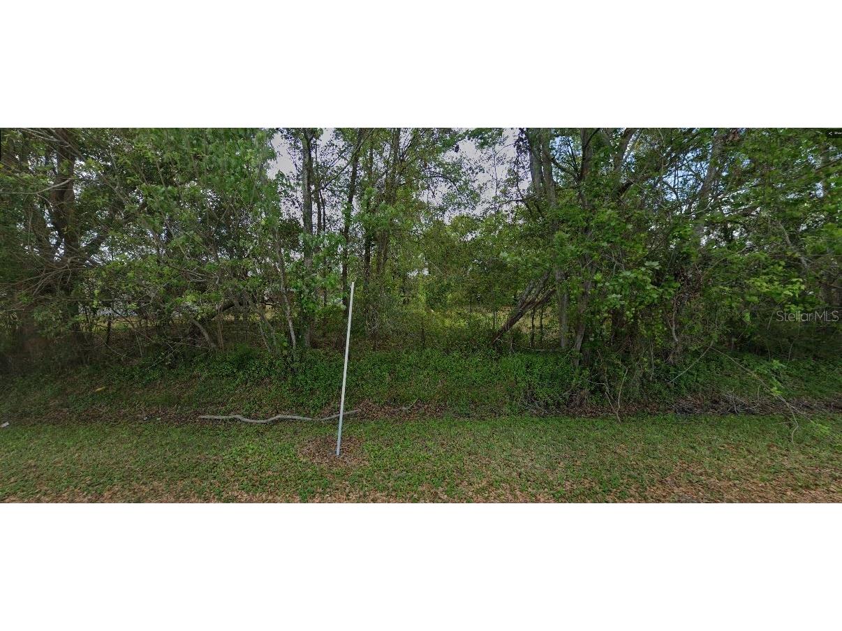 1707 Dill Road Orlando FL 32820 O6360955 image3