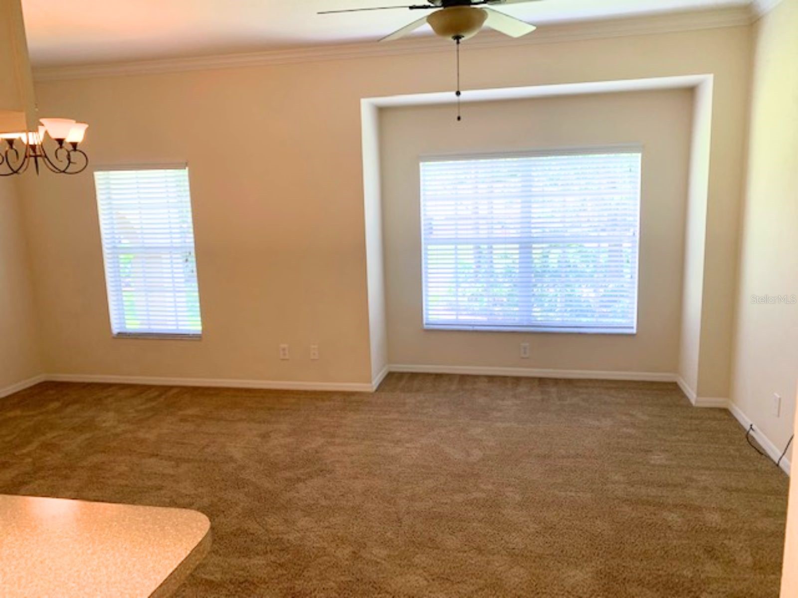 1707 Eagle Pond Drive #1707 Winter Haven FL 33884 P4938394 image4