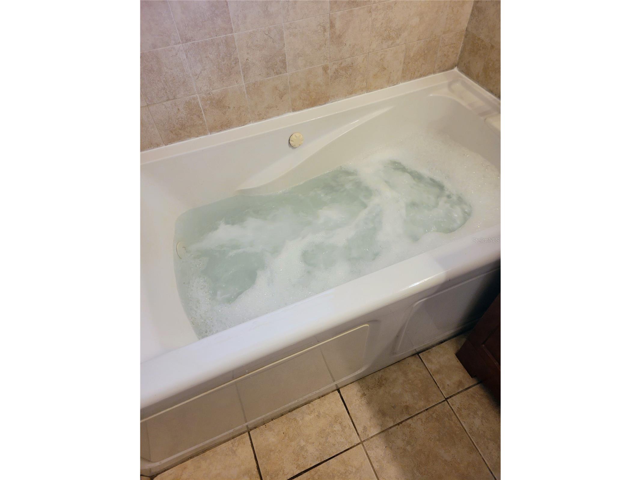 1707 Lockwood Avenue Orlando FL 32812 O6401656 image12