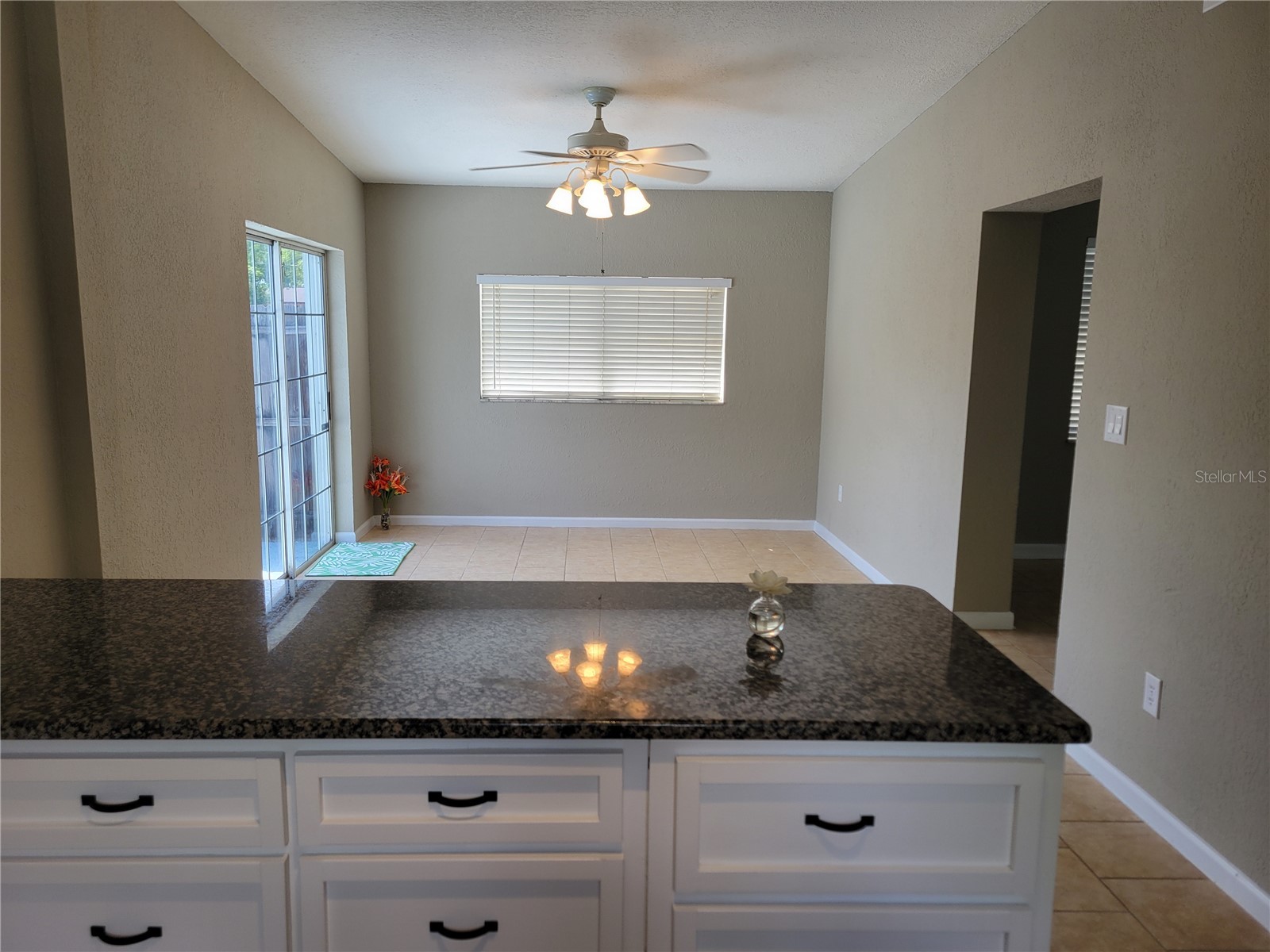 1707 Lockwood Avenue Orlando FL 32812 O6401656 image15