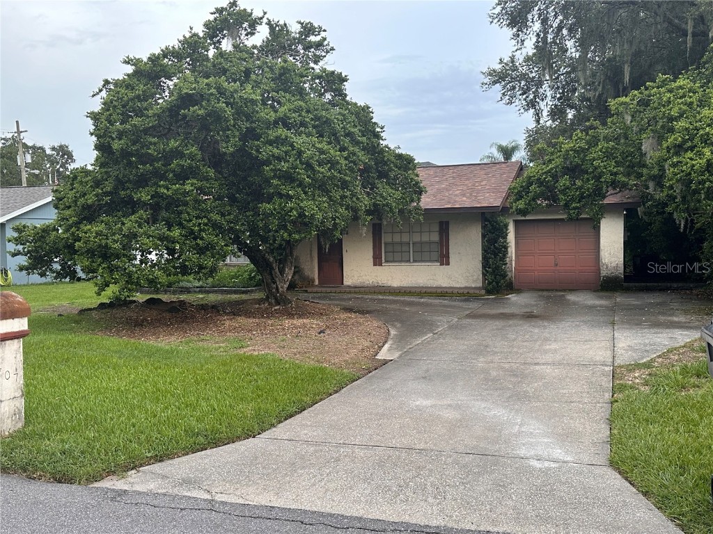 1707 Main Street Valrico FL 33594 T3544548 image1