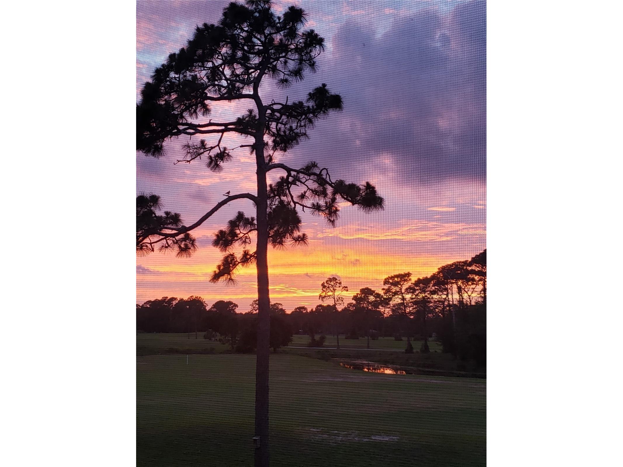 1707 Prestwick Place #1707 Saint Augustine FL 32086 FC319735 image42