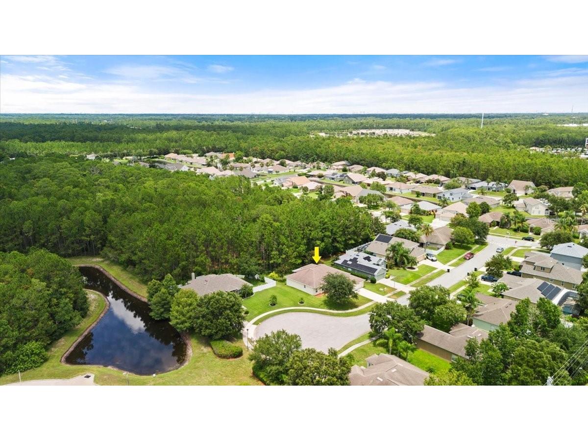 1707 Southern Belle Lane Port Orange FL 32128 FC311118 image3