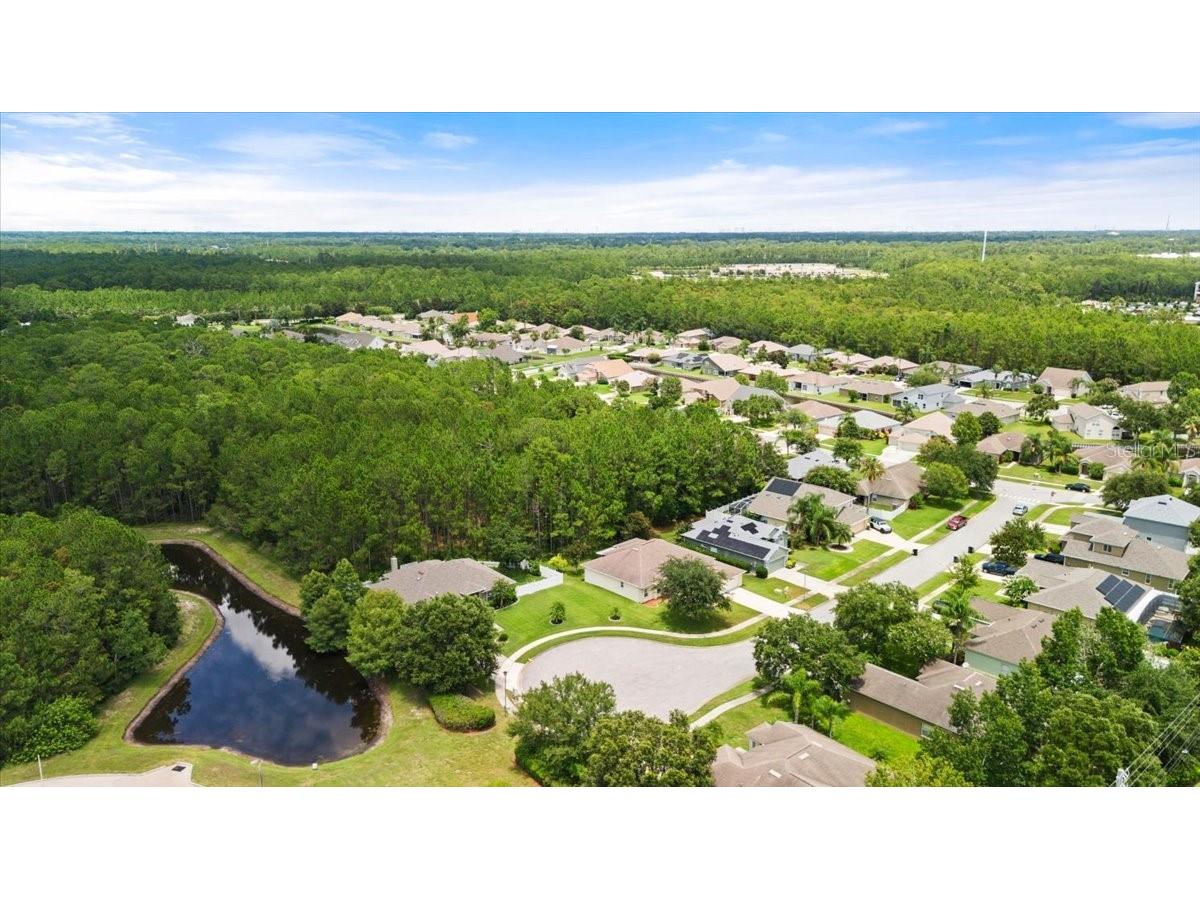 1707 Southern Belle Lane Port Orange FL 32128 FC311118 image46