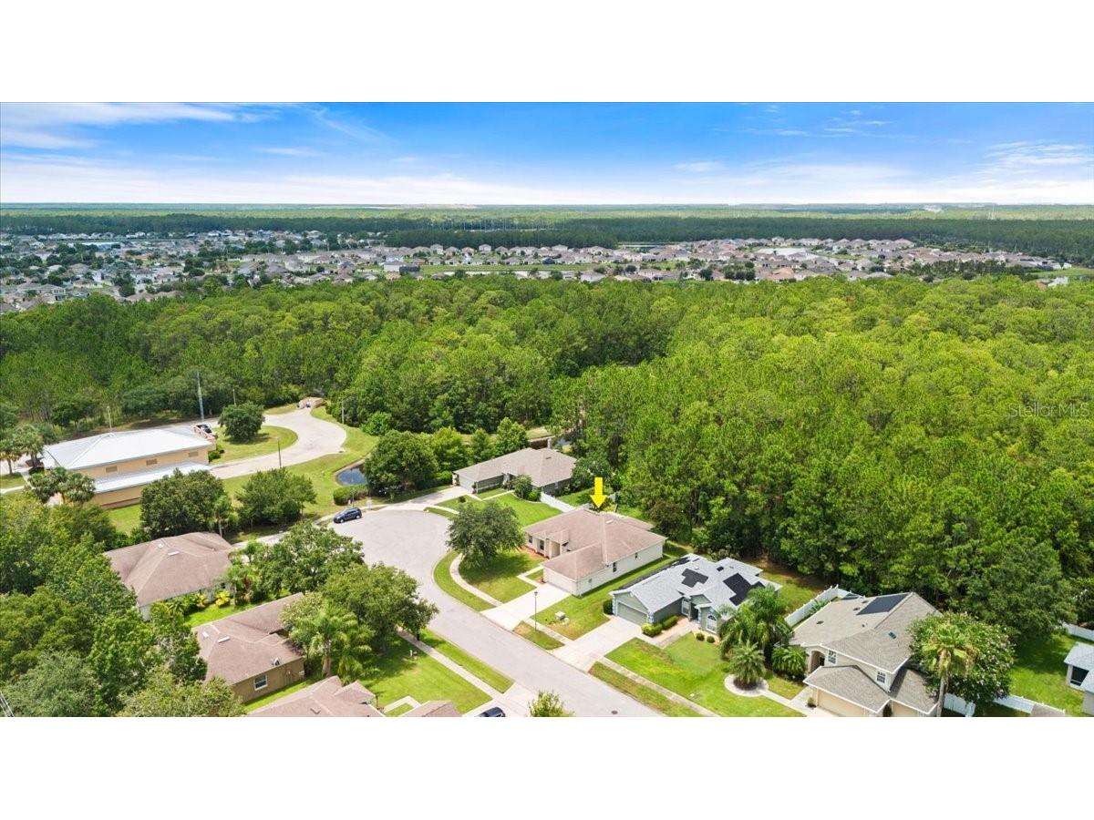 1707 Southern Belle Lane Port Orange FL 32128 FC311118 image47