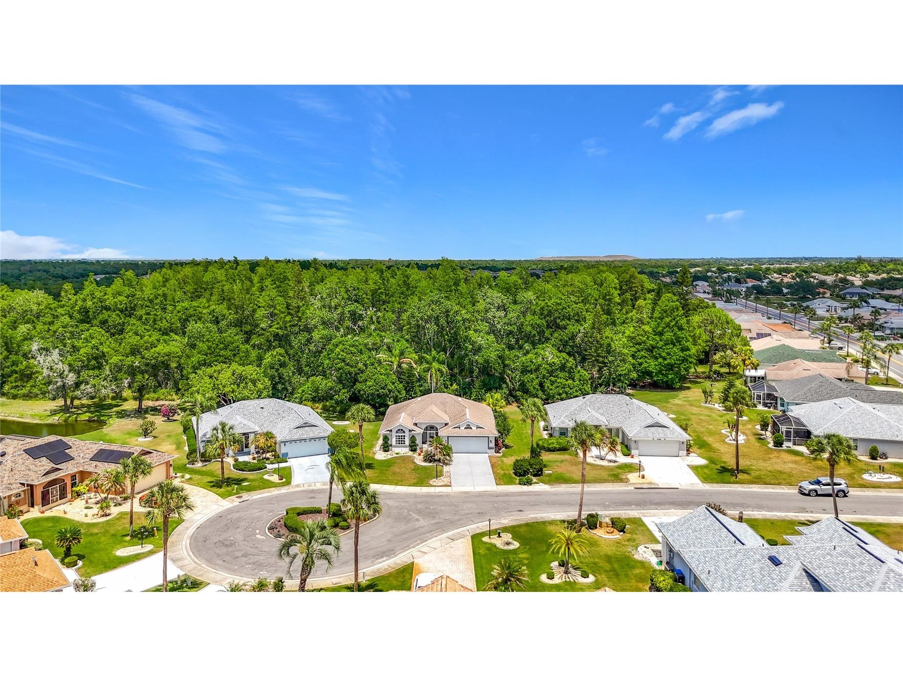 1707 Tremont Court Sun City Center FL 33573 TB8509007 image3
