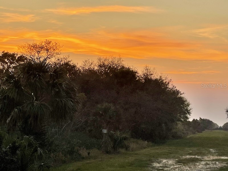 17070 NW 276th Street Okeechobee FL 34972 G5078449 image1