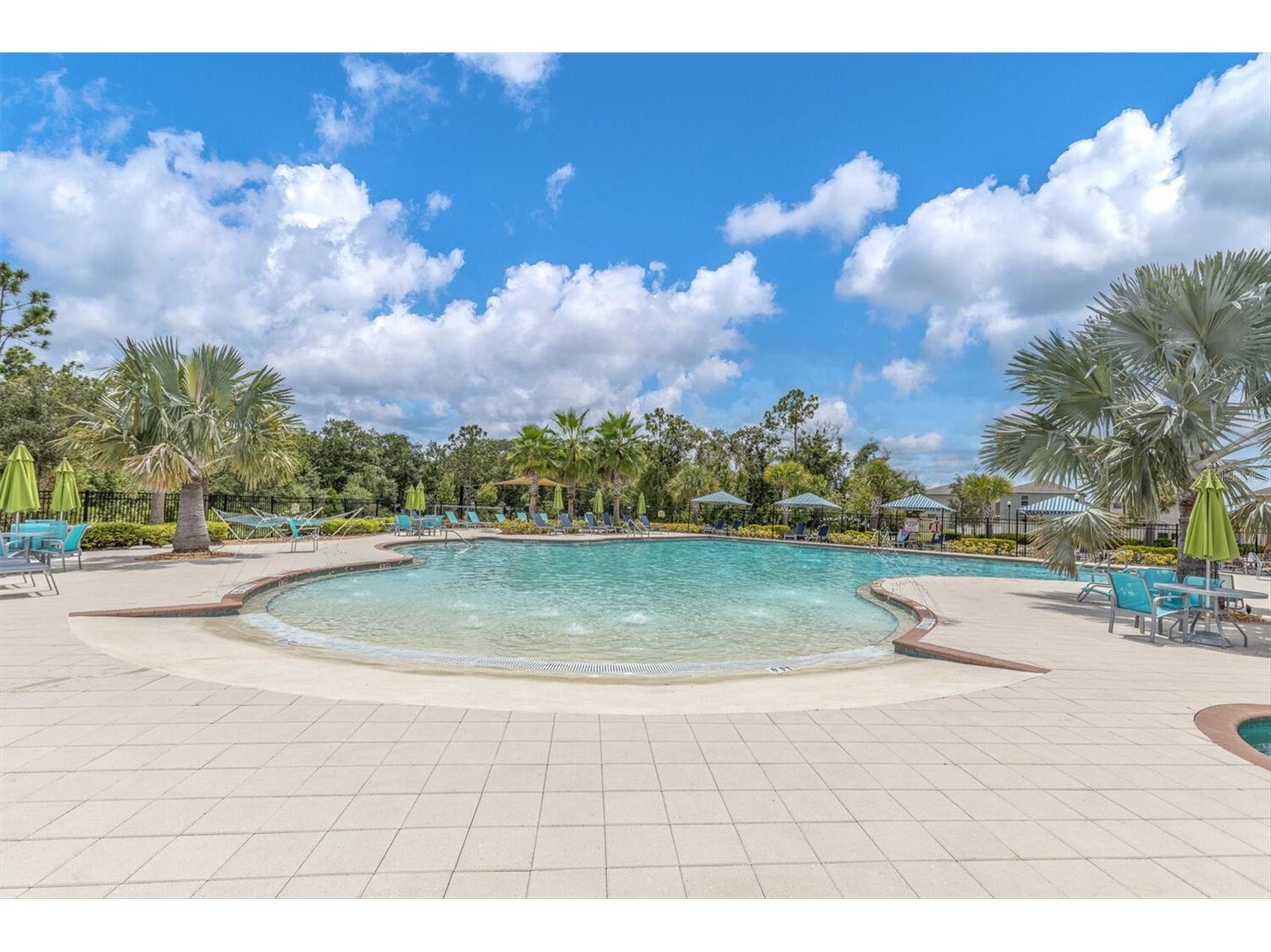17070 Oval Rum Drive Wimauma FL 33598 TB8502661 image3